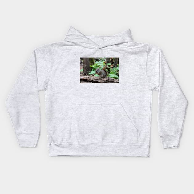 Cute Single squirrel eating nuts in a forest Kids Hoodie by Danielleroyer